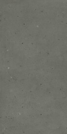Авангард Блэк 60X120 Рет